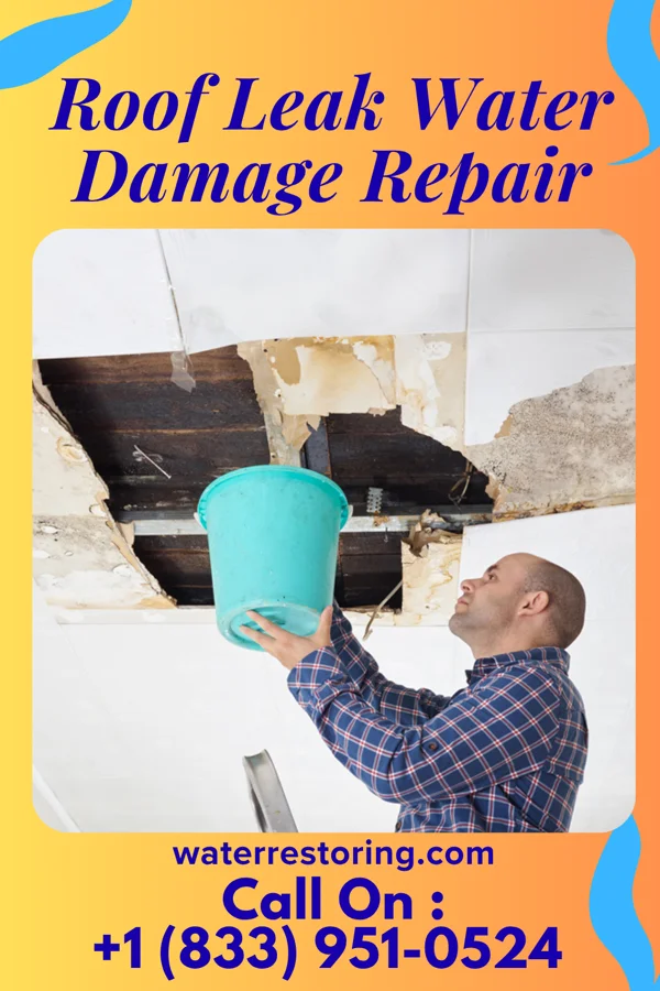 Roof Leak Water Damage Repair in Topaz Lake, NV